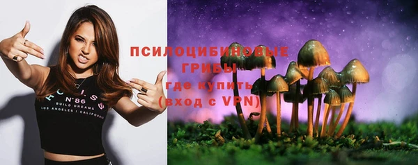 спайс Алексеевка