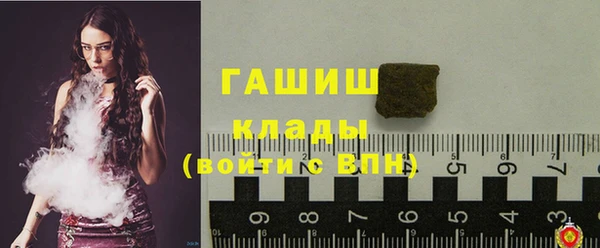 стаф Алексин