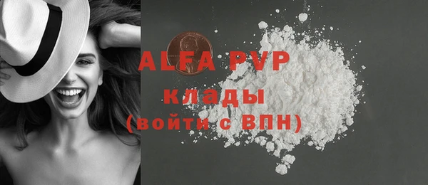 стаф Алексин