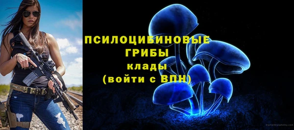 стаф Алексин