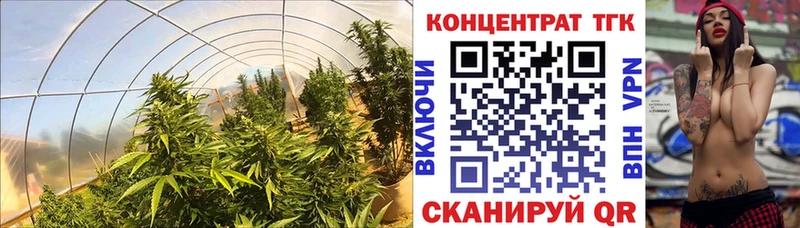 ТГК вейп с тгк  купить наркоту  Фрязино 