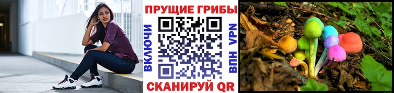 OMG ССЫЛКА  Фрязино  Галлюциногенные грибы ЛСД 