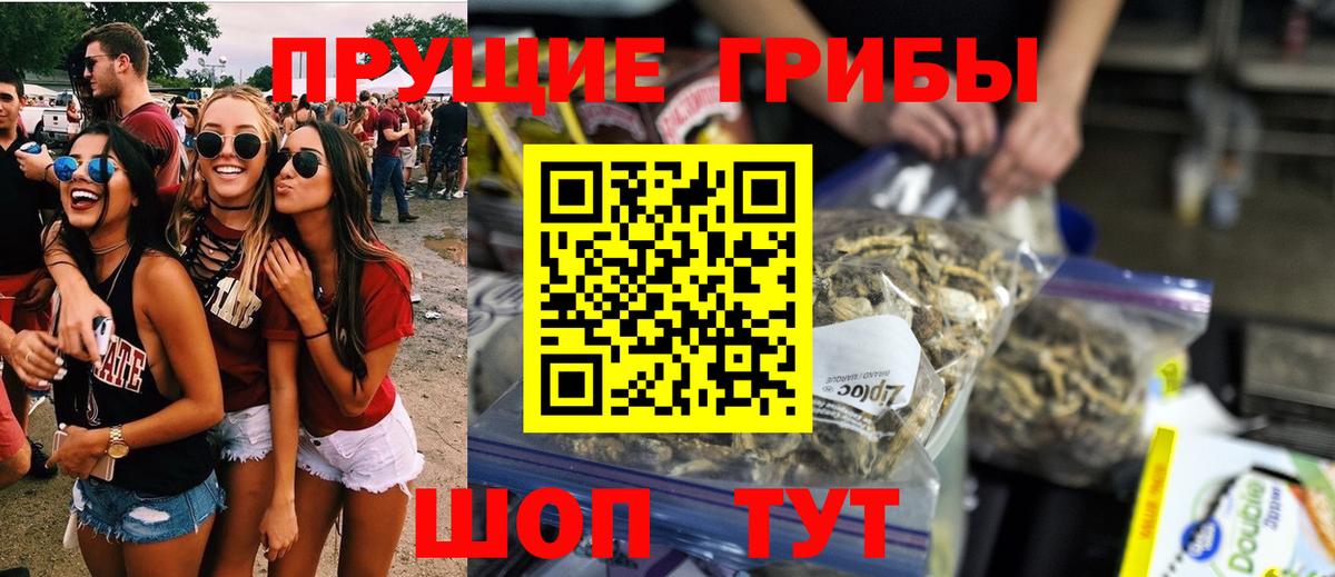 Галлюциногенные грибы Psilocybine cubensis  Галлюциногенные грибы Psilocybine cubensis  Фрязино  Вход с VPN 