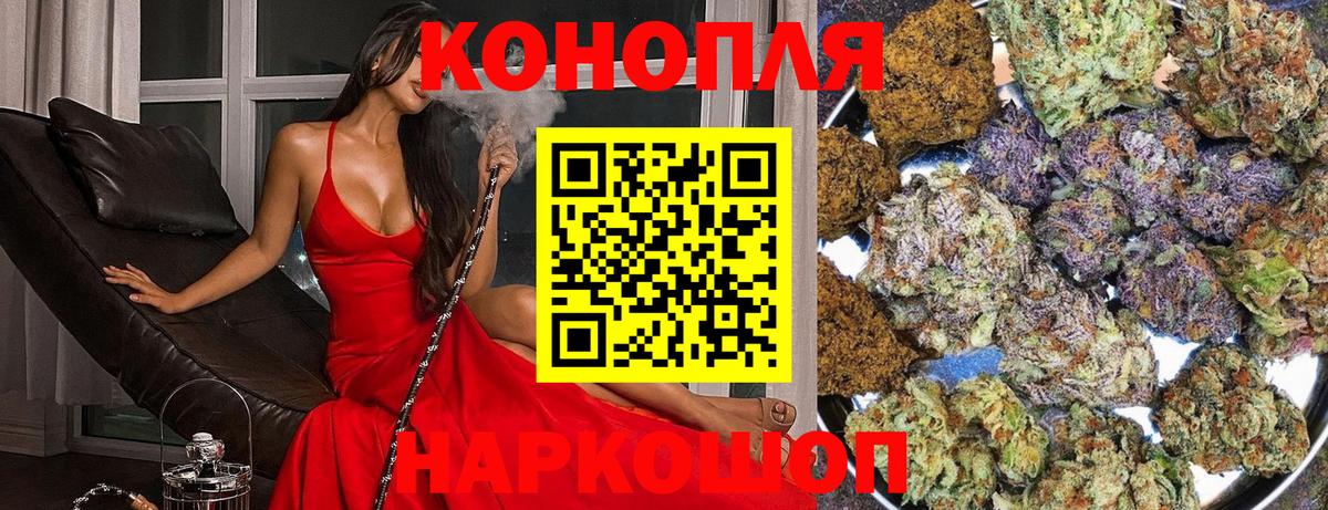Фрязино  Бошки марихуана ГИДРОПОН  МАРИХУАНА MAZAR  Вход с VPN 
